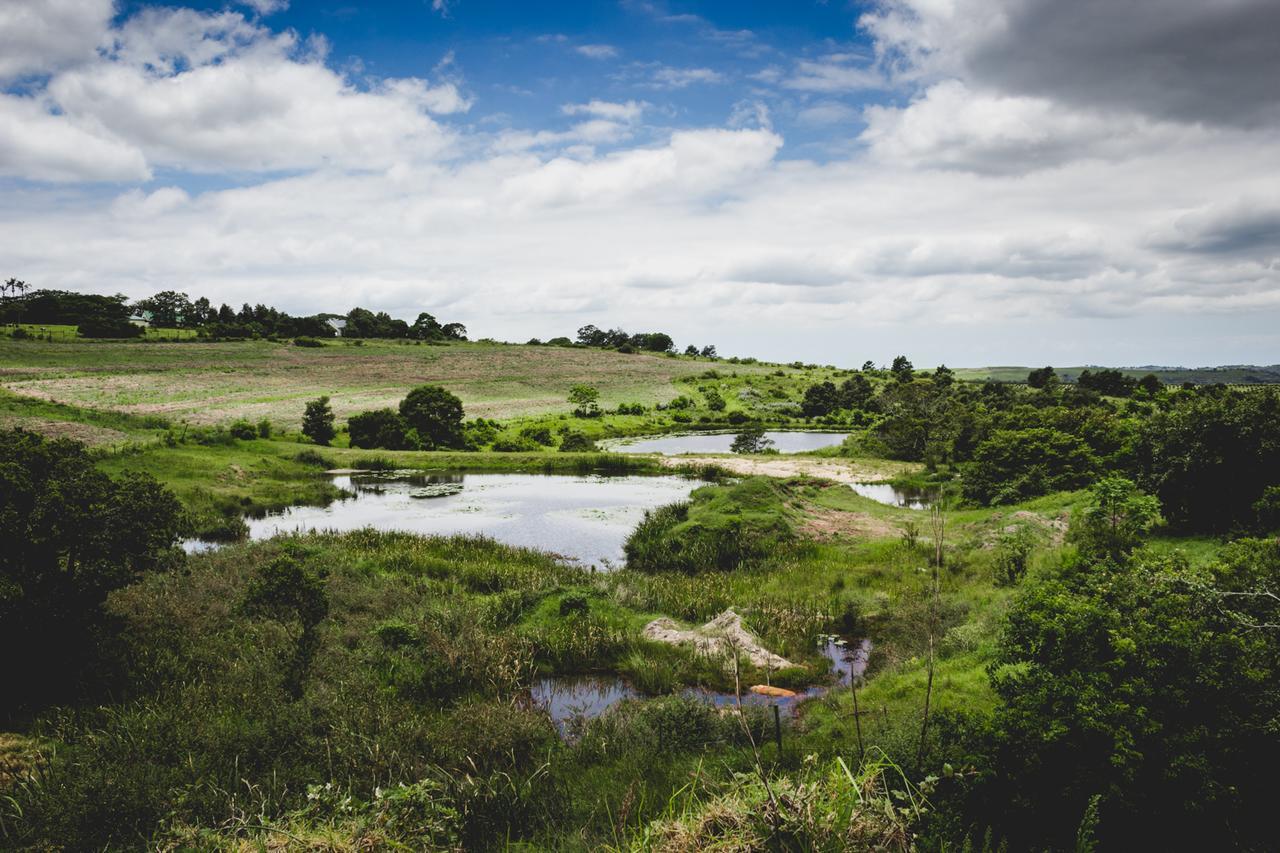 Готель Oribi Gorge Guest Farm Glendale Екстер'єр фото