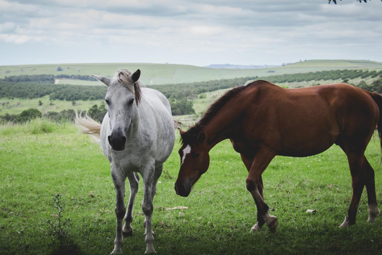 Готель Oribi Gorge Guest Farm Glendale Екстер'єр фото